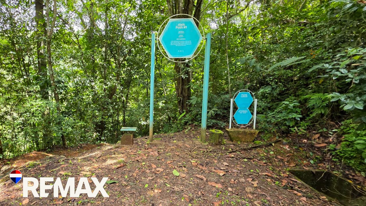 Waterfalls | Swimming Holes | Rivers | 72 Acres, photo 14