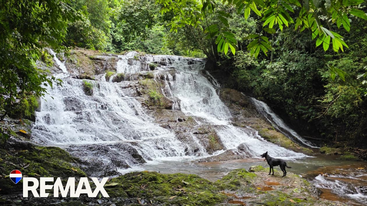 Waterfalls | Swimming Holes | Rivers | 72 Acres, photo 19