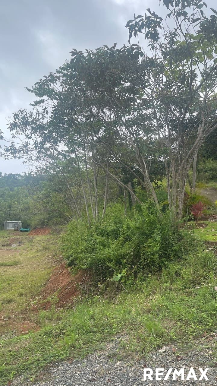 Secure Coastal Sanctuary, photo 2