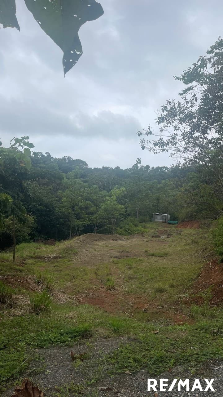 Secure Coastal Sanctuary, photo 3