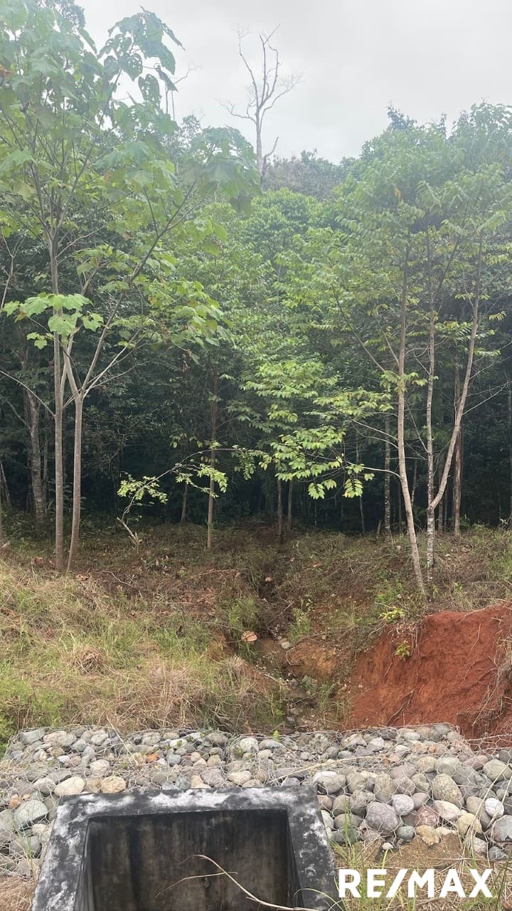 Secure Coastal Sanctuary, photo 9