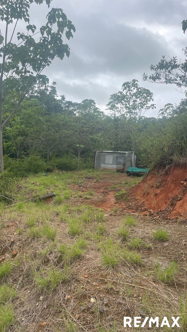 Secure Coastal Sanctuary, photo 10