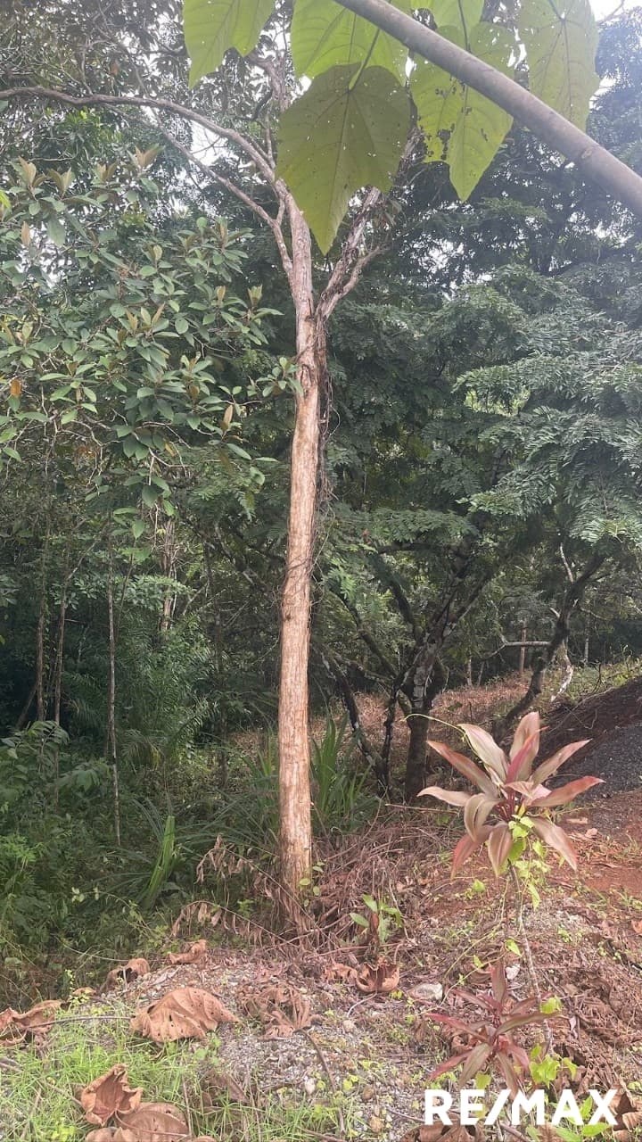 Secure Coastal Sanctuary, photo 11