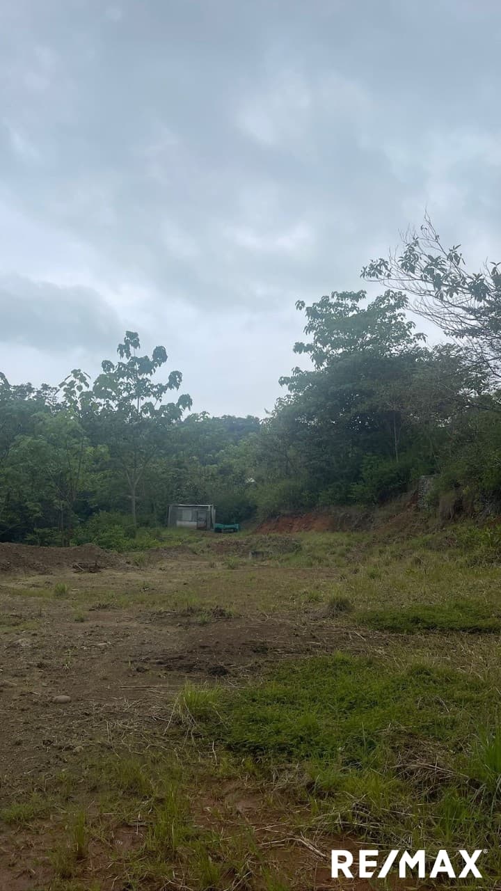 Secure Coastal Sanctuary, photo 12