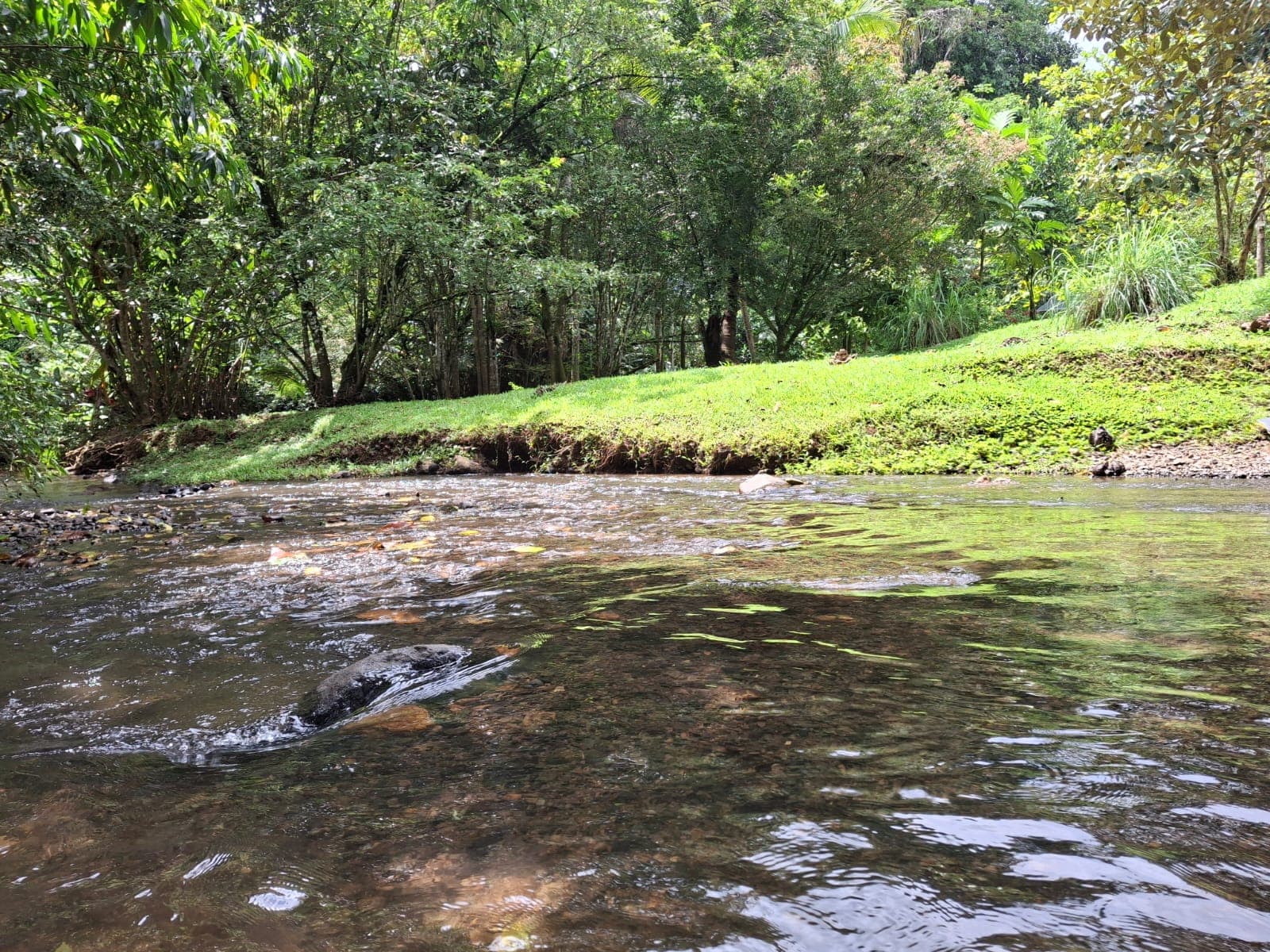 Turnkey Eco-Retreat With River Access and Guest Houses for Sale in Bijagual, Costa Rica, photo 18