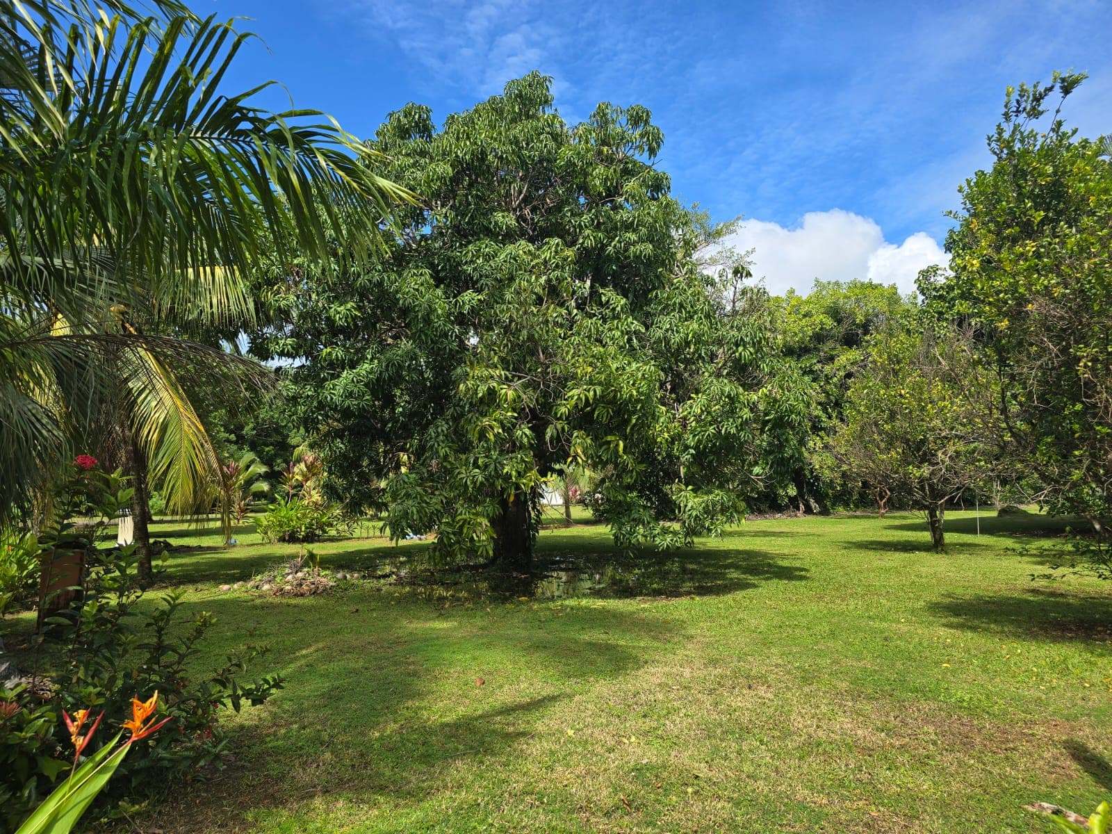 Three-Bedroom Bejuco Beach Home For Sale, photo 23