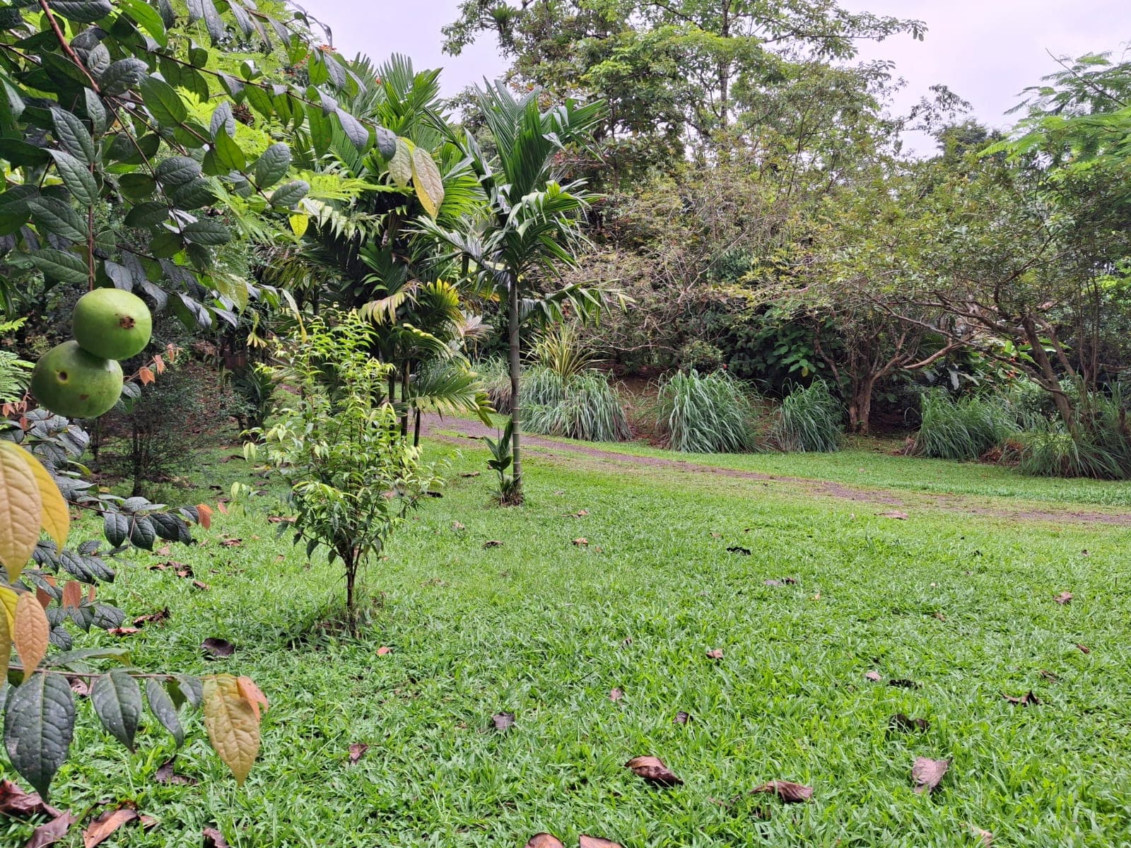Turnkey Eco-Retreat With River Access and Guest Houses for Sale in Bijagual, Costa Rica, photo 6