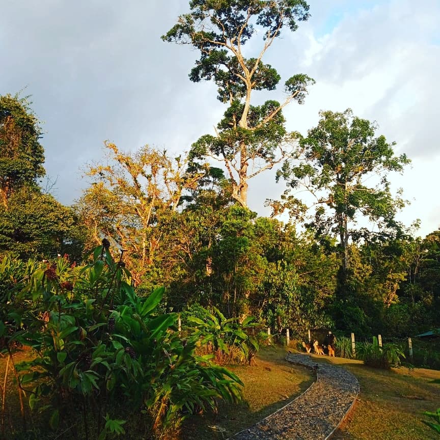Turnkey Eco-Retreat With River Access and Guest Houses for Sale in Bijagual, Costa Rica, photo 5