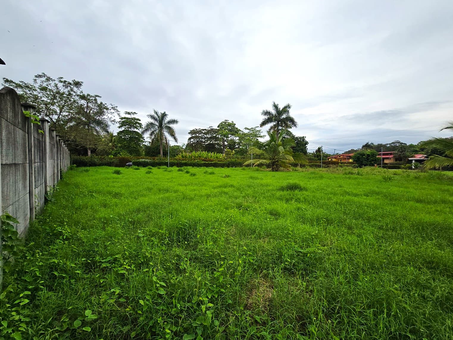 Build-Ready Flat Lot Near Bejuco Beach, photo 5