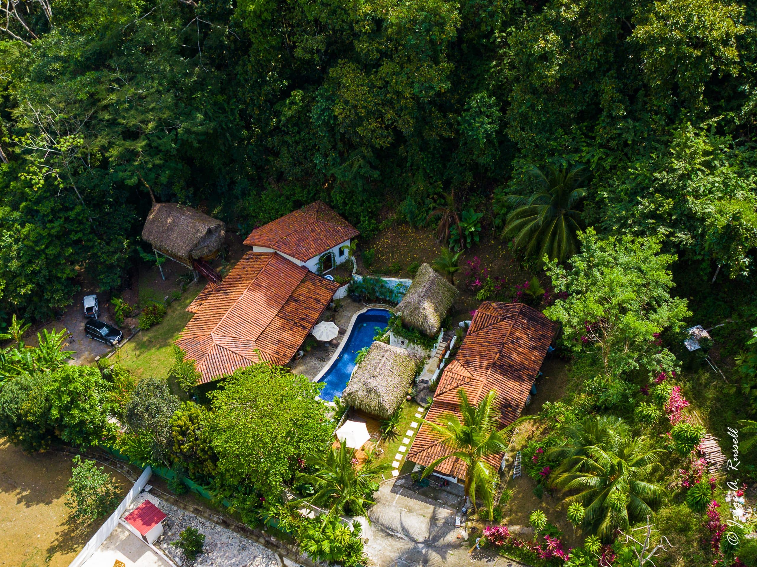 Tropical Retreat, photo 28