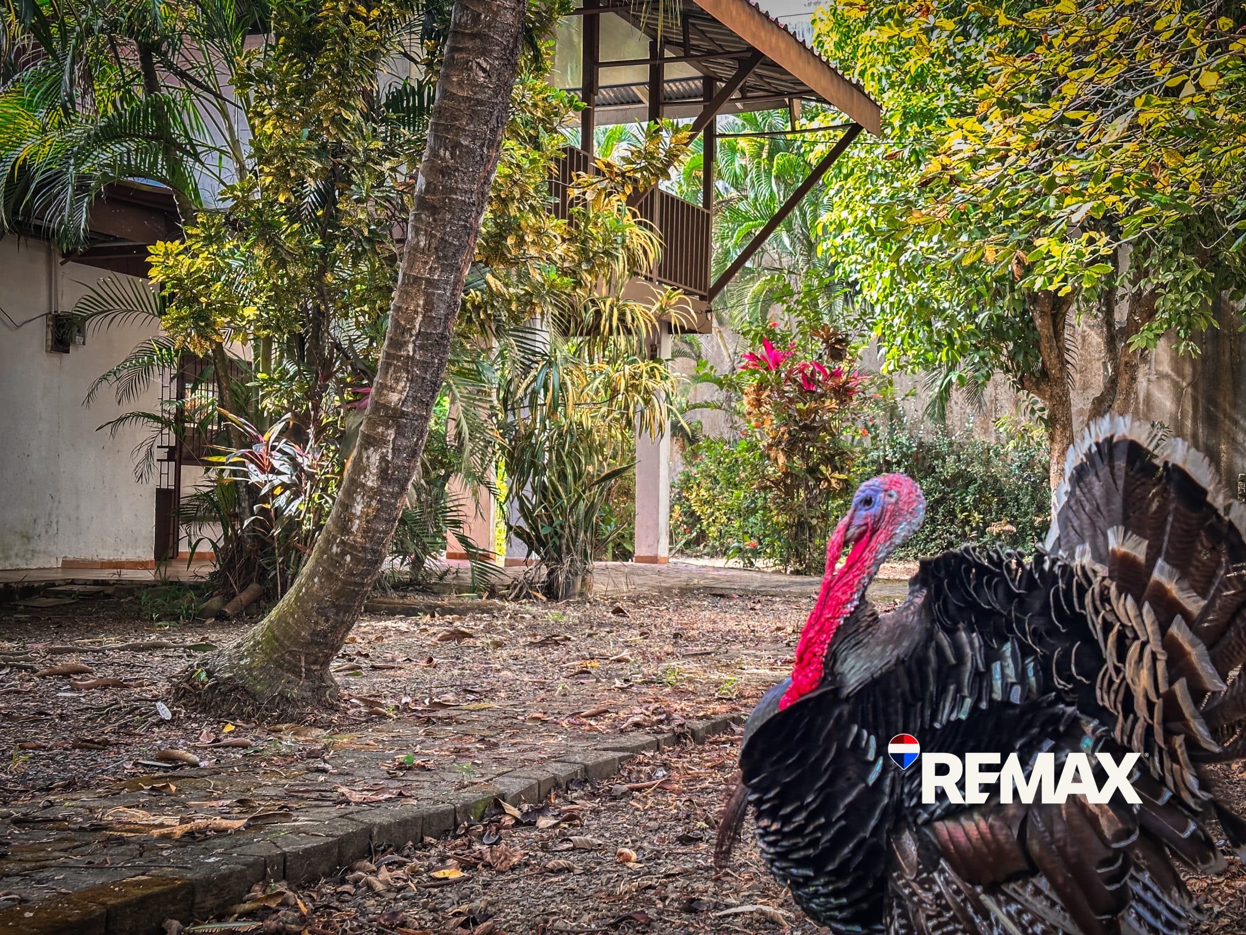 4 Bedroom Fixer Upper | Near Los Sueños, photo 9