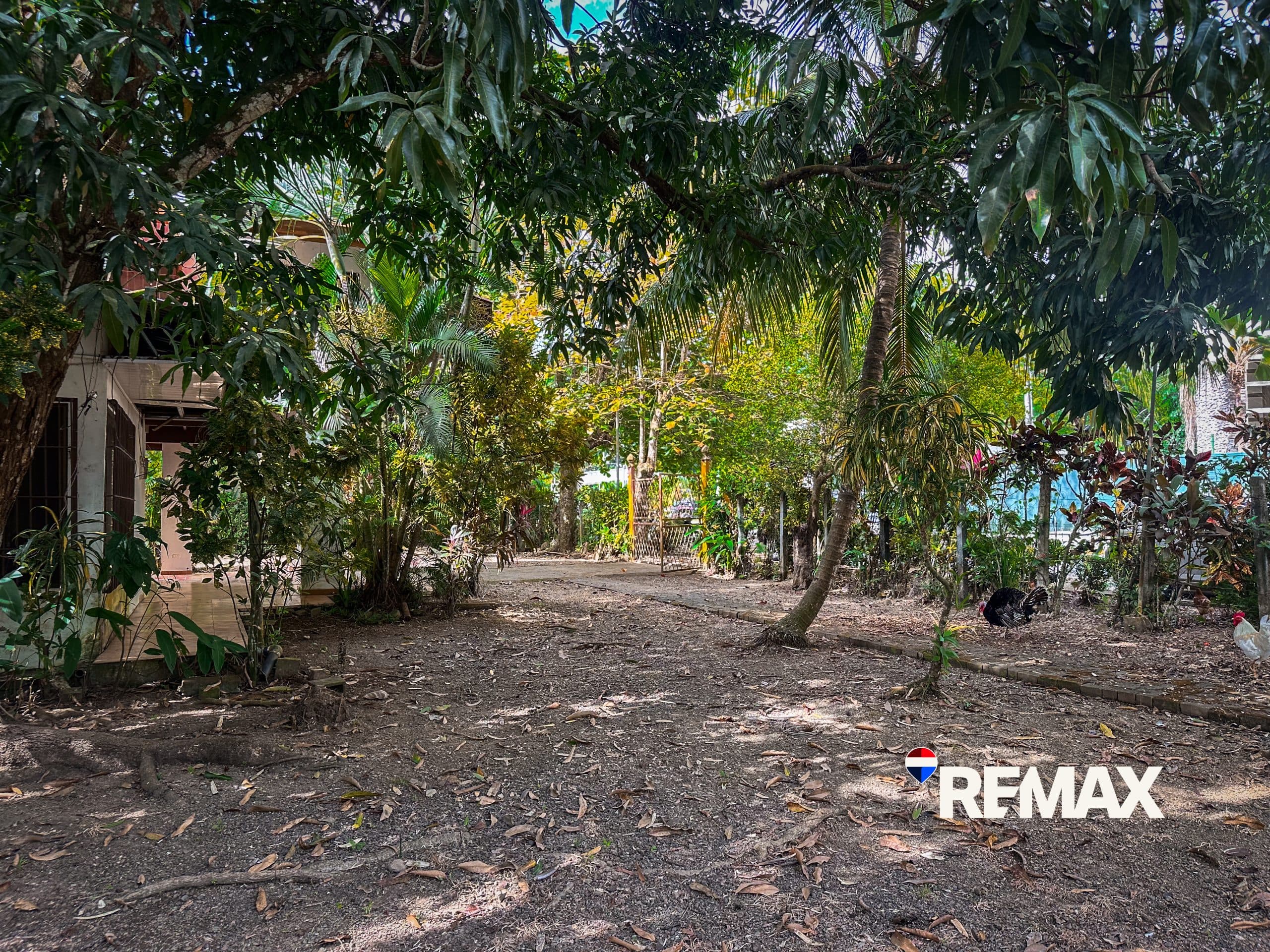 4 Bedroom Fixer Upper | Near Los Sueños, photo 11