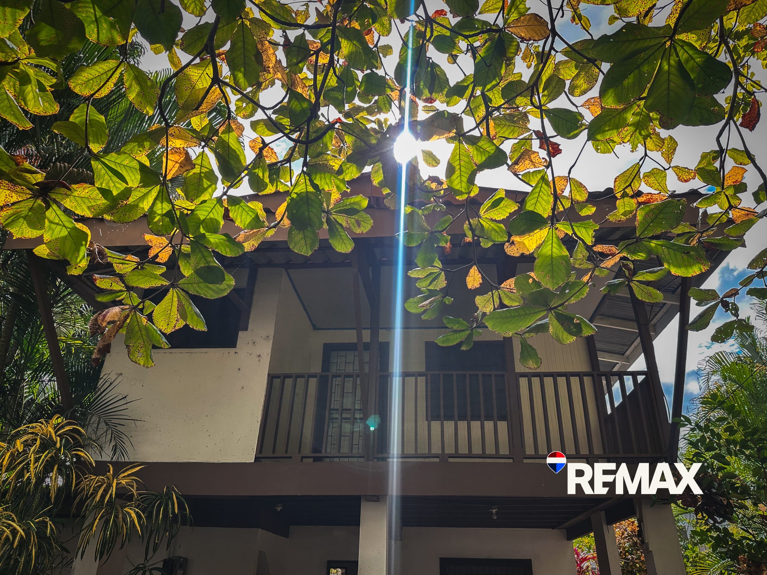 4 Bedroom Fixer Upper | Near Los Sueños, photo 13