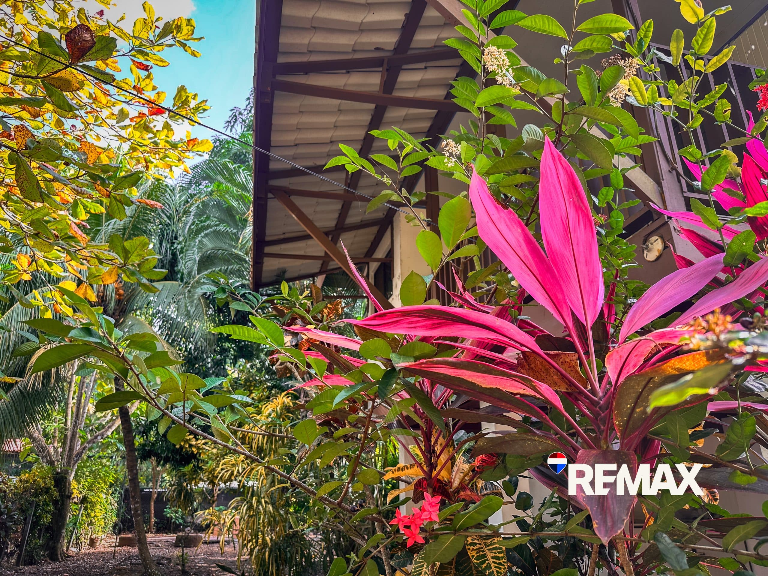 4 Bedroom Fixer Upper | Near Los Sueños, photo 17