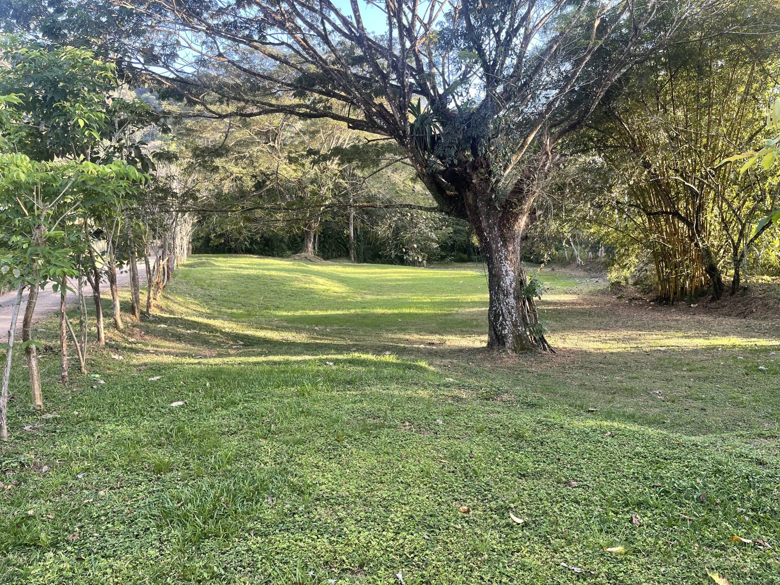 Dream river opportunity, photo 3