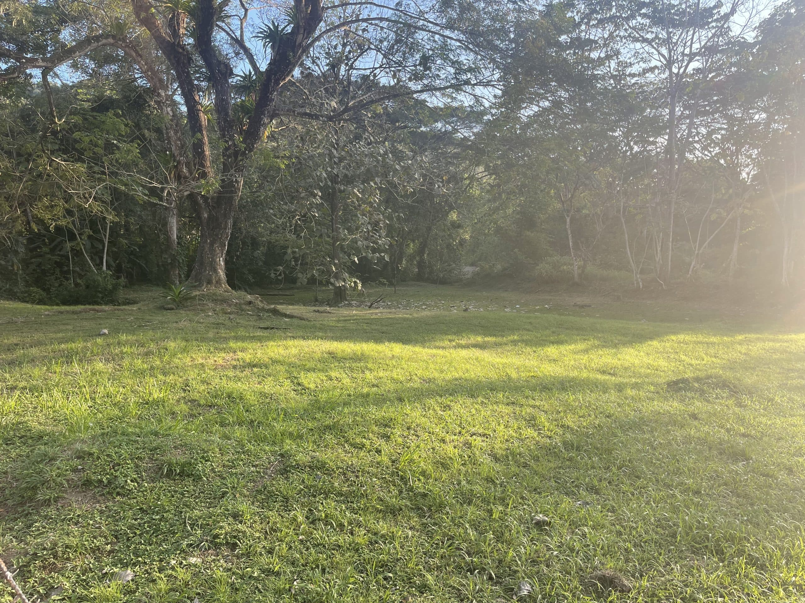 Dream river opportunity, photo 2