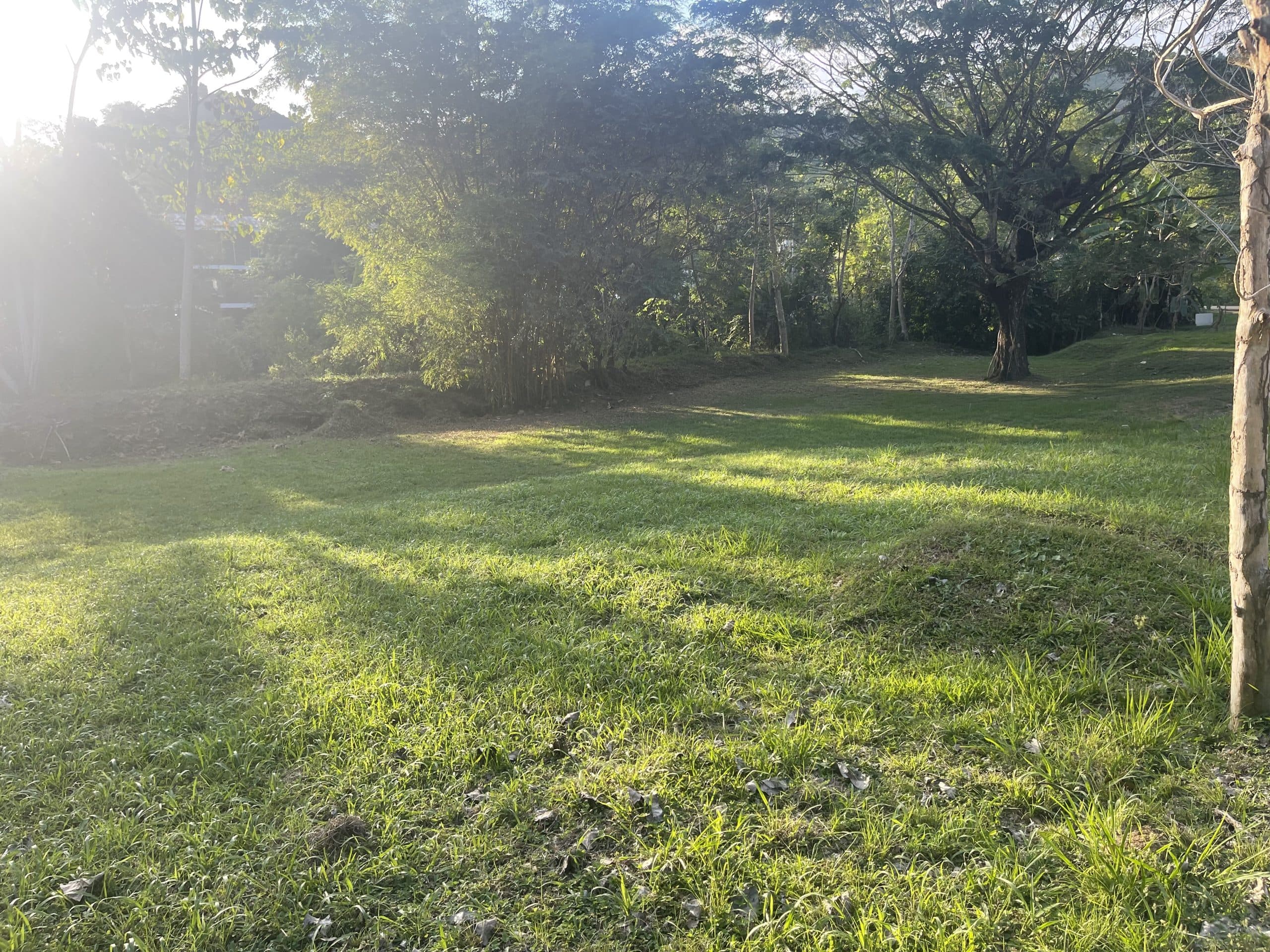 Dream river opportunity, photo 4