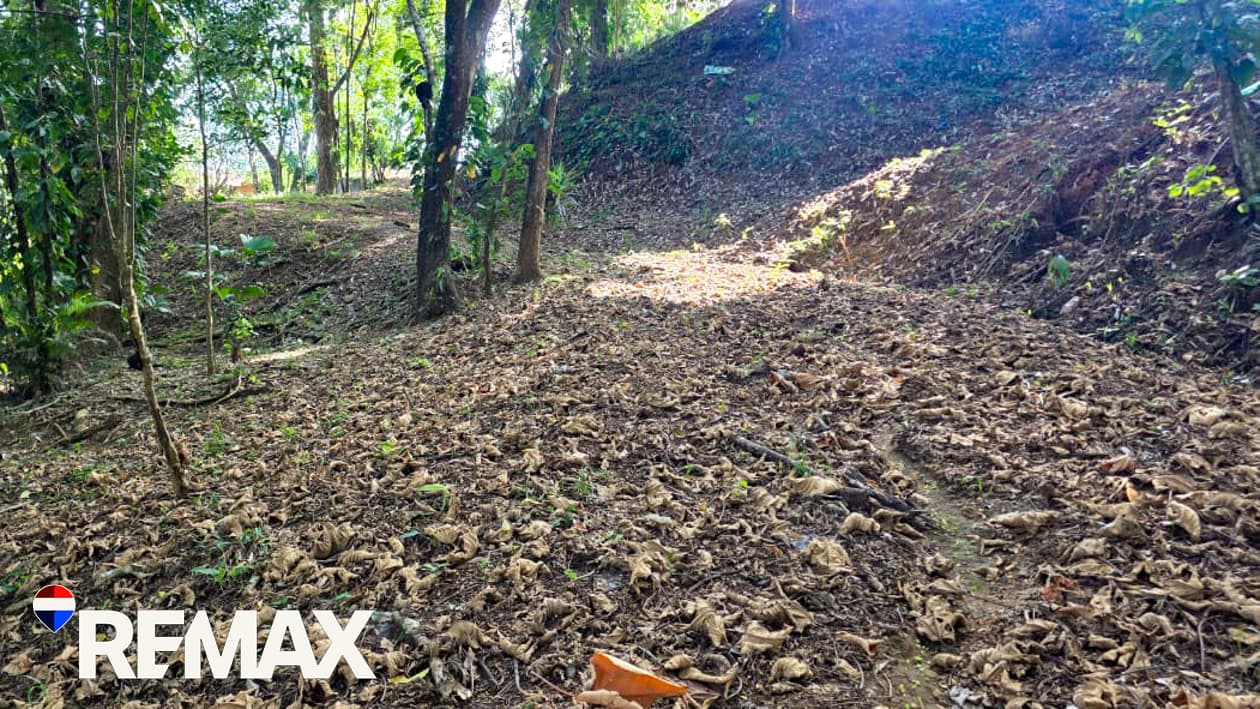 Great Location near Los Suenos | Over 2 hectares, photo 2