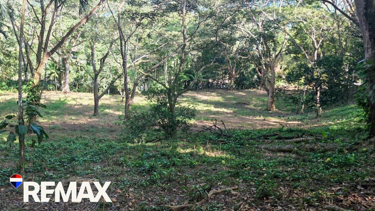 Great Location near Los Suenos | Over 2 hectares, photo 3