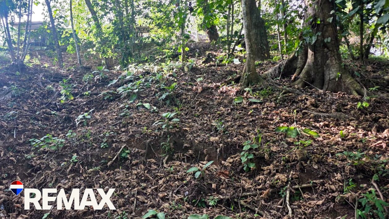 Great Location near Los Suenos | Over 2 hectares, photo 4