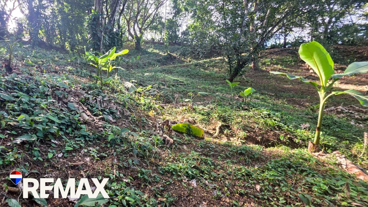 Great Location near Los Suenos | Over 2 hectares, photo 5