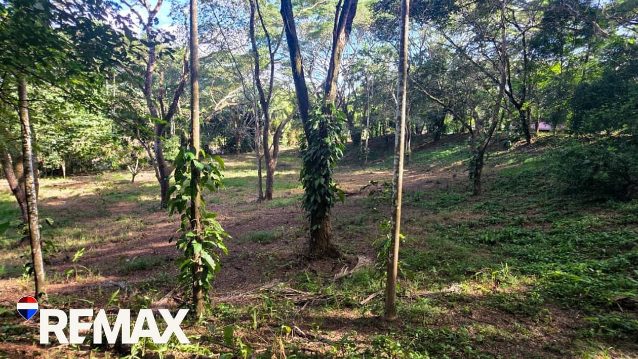 Great Location near Los Suenos | Over 2 hectares, photo 6