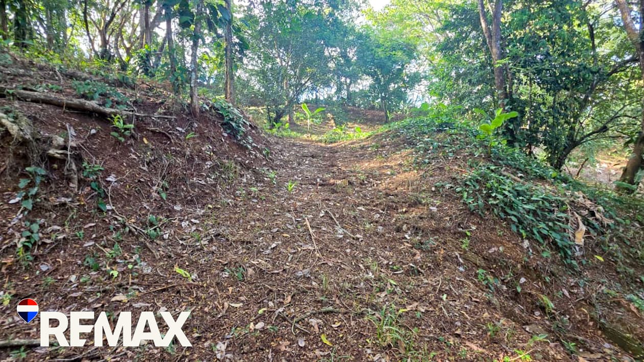 Great Location near Los Suenos | Over 2 hectares, photo 7