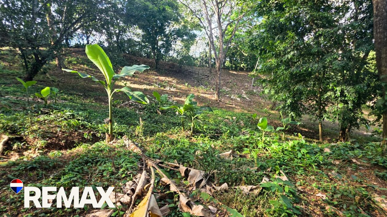 Great Location near Los Suenos | Over 2 hectares, photo 8