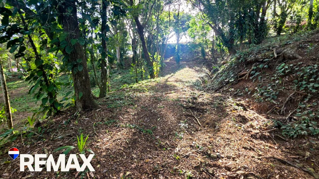 Great Location near Los Suenos | Over 2 hectares, photo 9