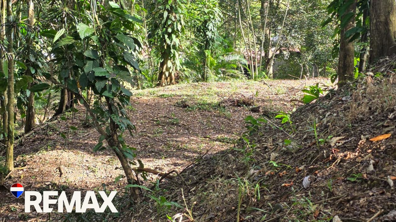 Great Location near Los Suenos | Over 2 hectares, photo 10