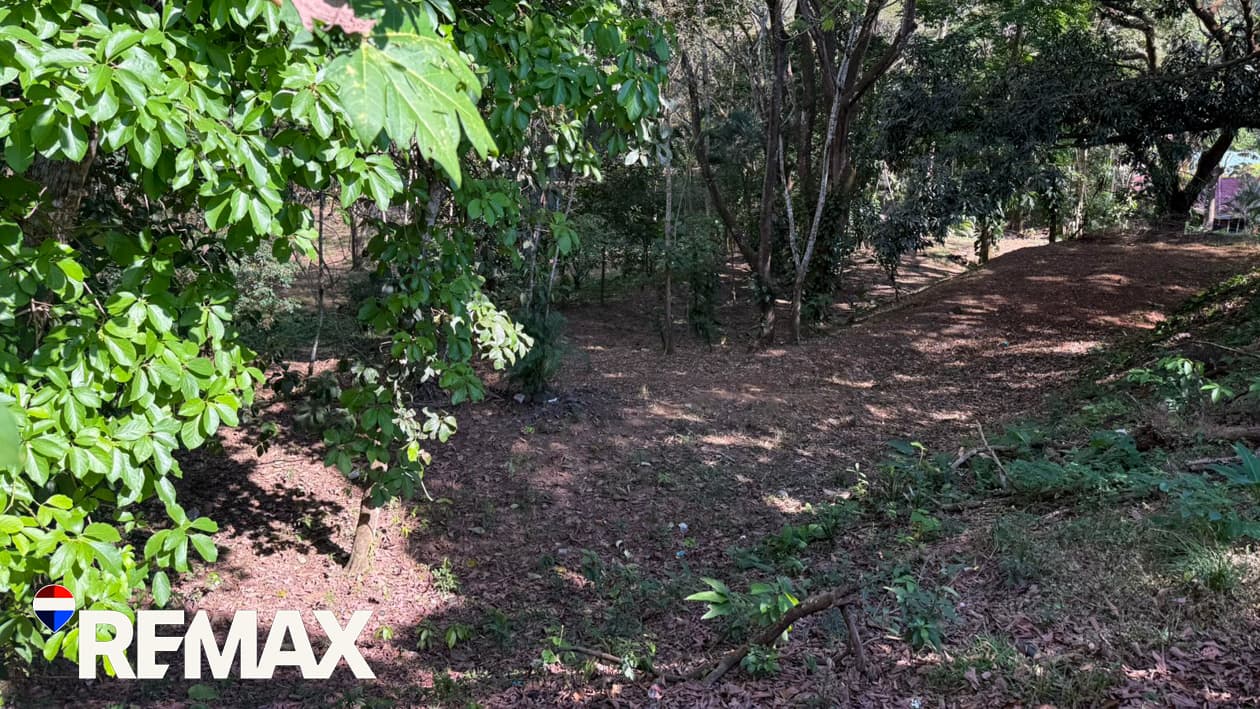 Great Location near Los Suenos | Over 2 hectares, photo 16