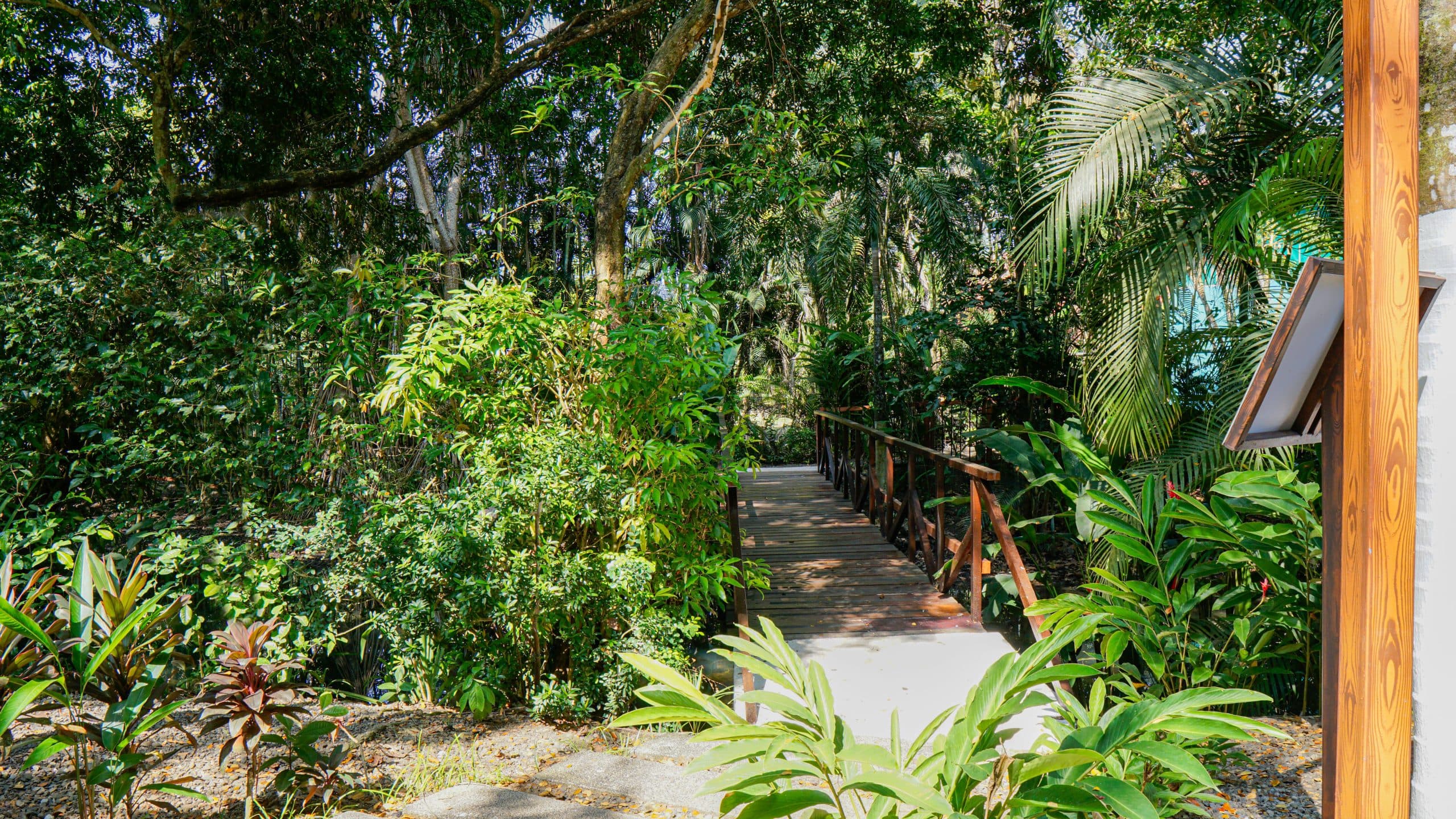 Condo Beach Access | Macaw Ocean Club, photo 23