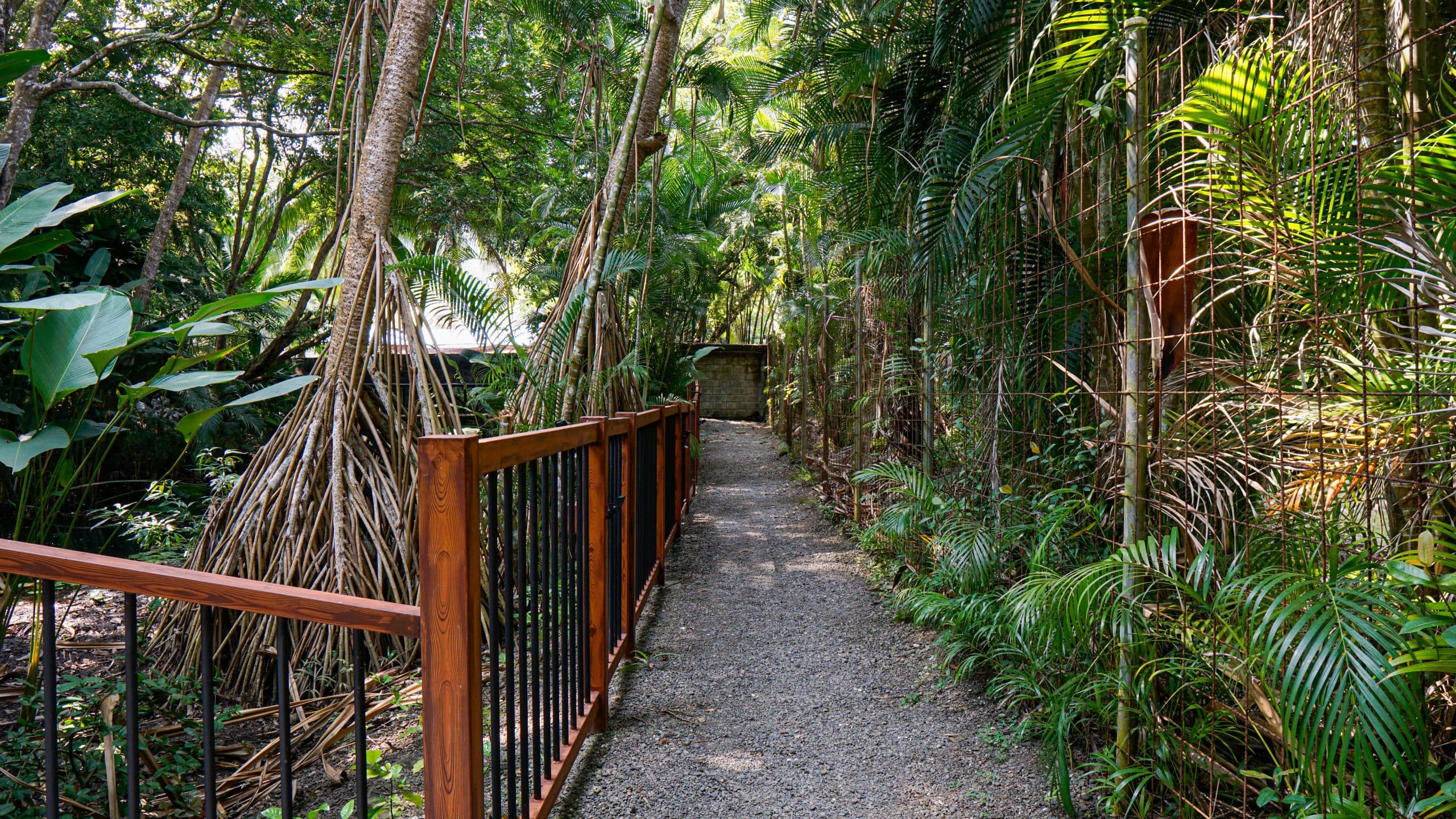 Condo Beach Access | Macaw Ocean Club, photo 24