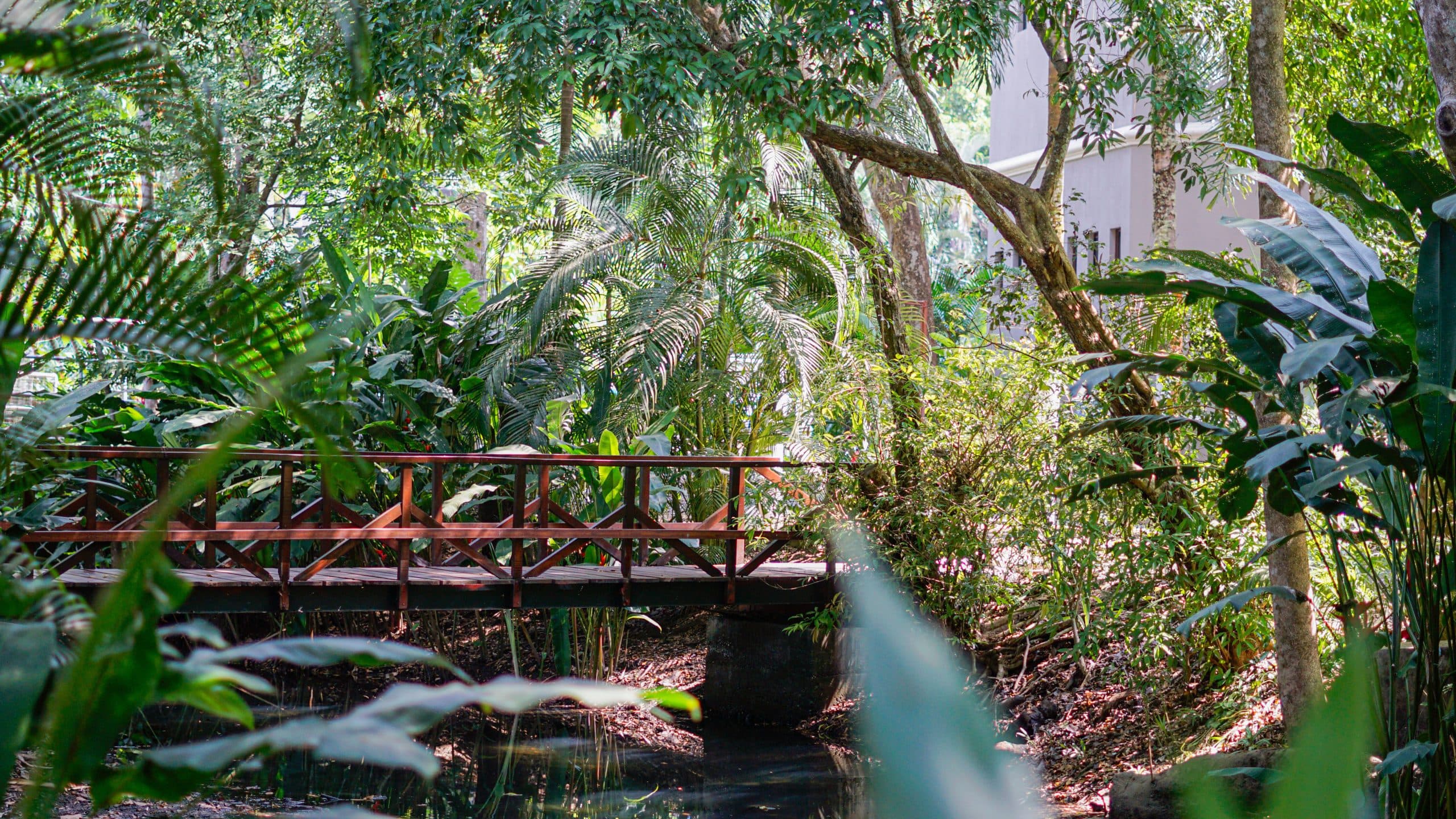 Condo Beach Access | Macaw Ocean Club, photo 26