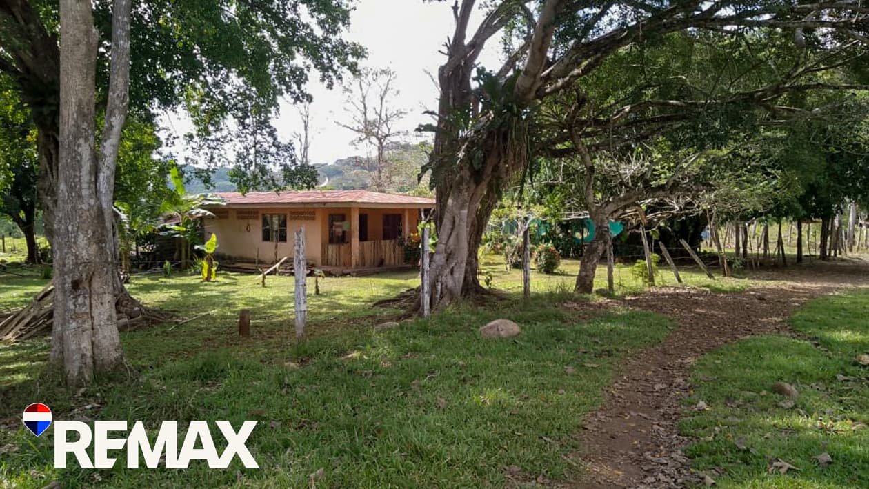River Ranch | Perfect for horses | 16 acres |, photo 4
