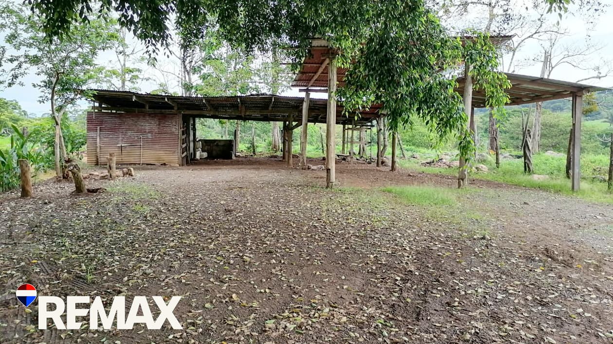 River Ranch | Perfect for horses | 16 acres |, photo 6