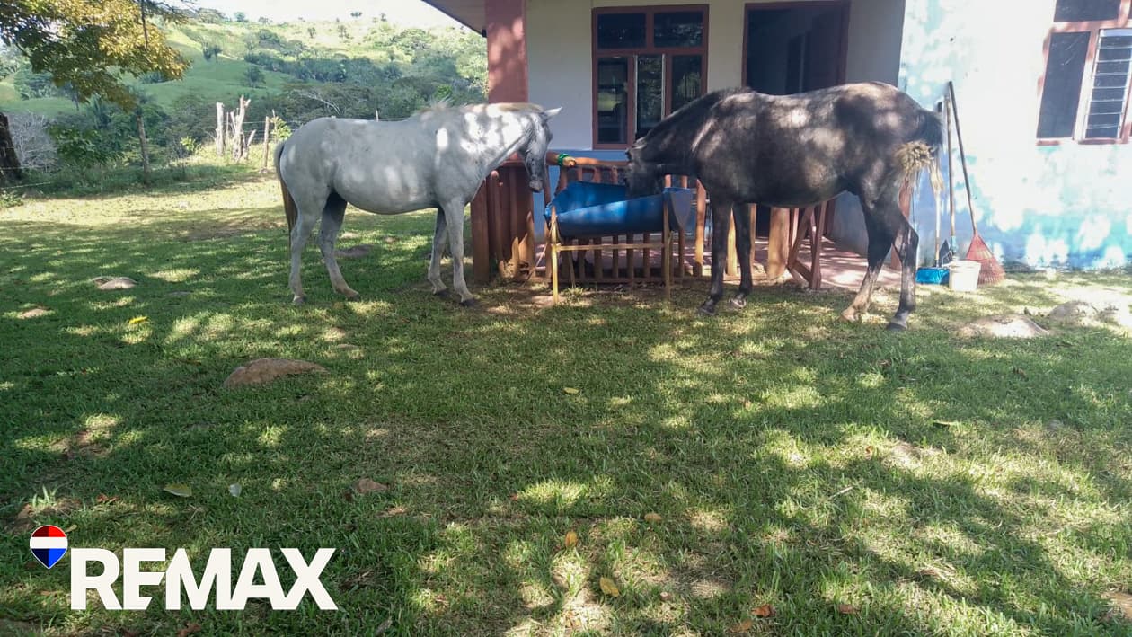 River Ranch | Perfect for horses | 16 acres |, photo 7