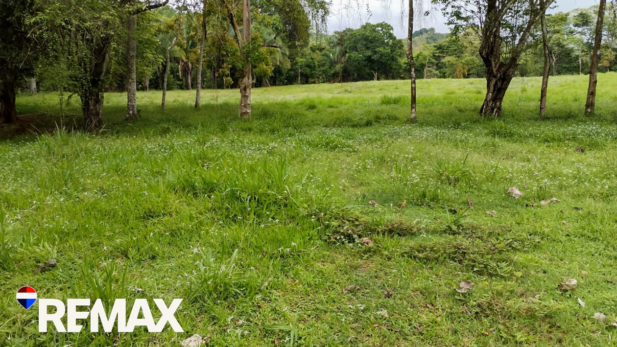 River Ranch | Perfect for horses | 16 acres |, photo 12