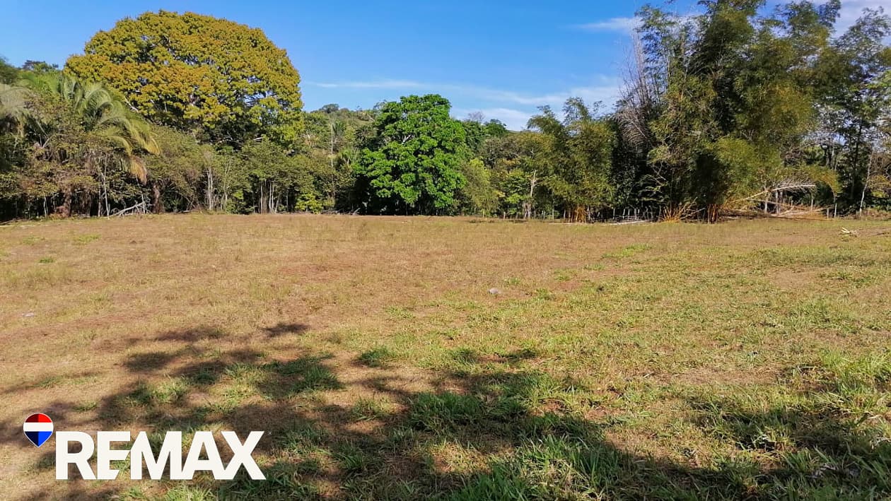 River Ranch | Perfect for horses | 16 acres |, photo 14