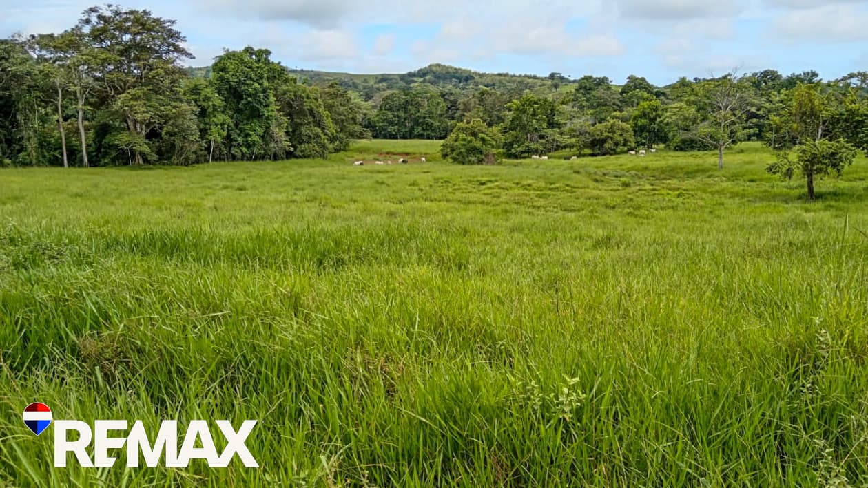 River Ranch | Perfect for horses | 16 acres |, photo 15