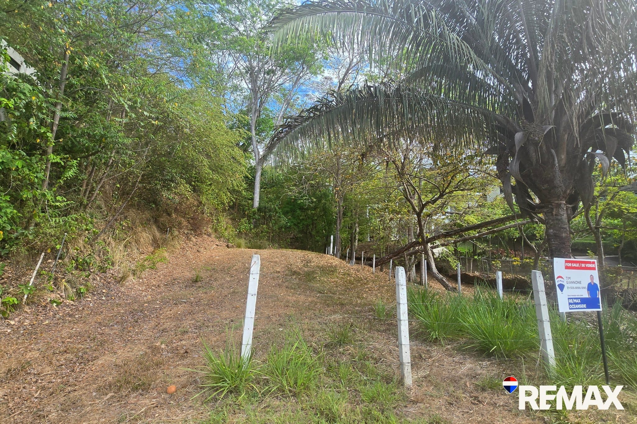 Highway Oceanview lot  | Mixed-Use Opportunity, photo 14