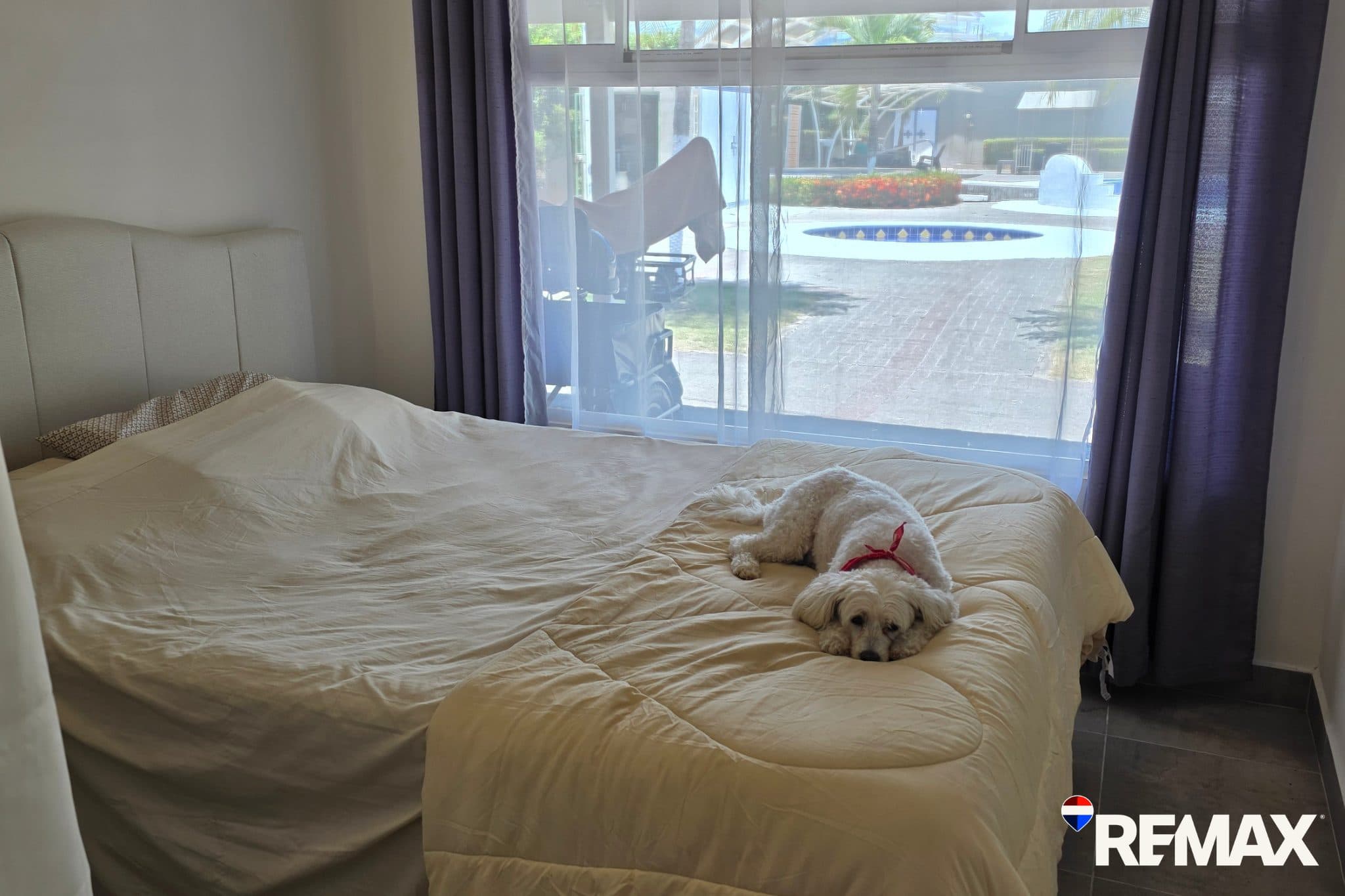Pool front Tropical Condo | Fully Renovated | Walk to Beach, photo 9