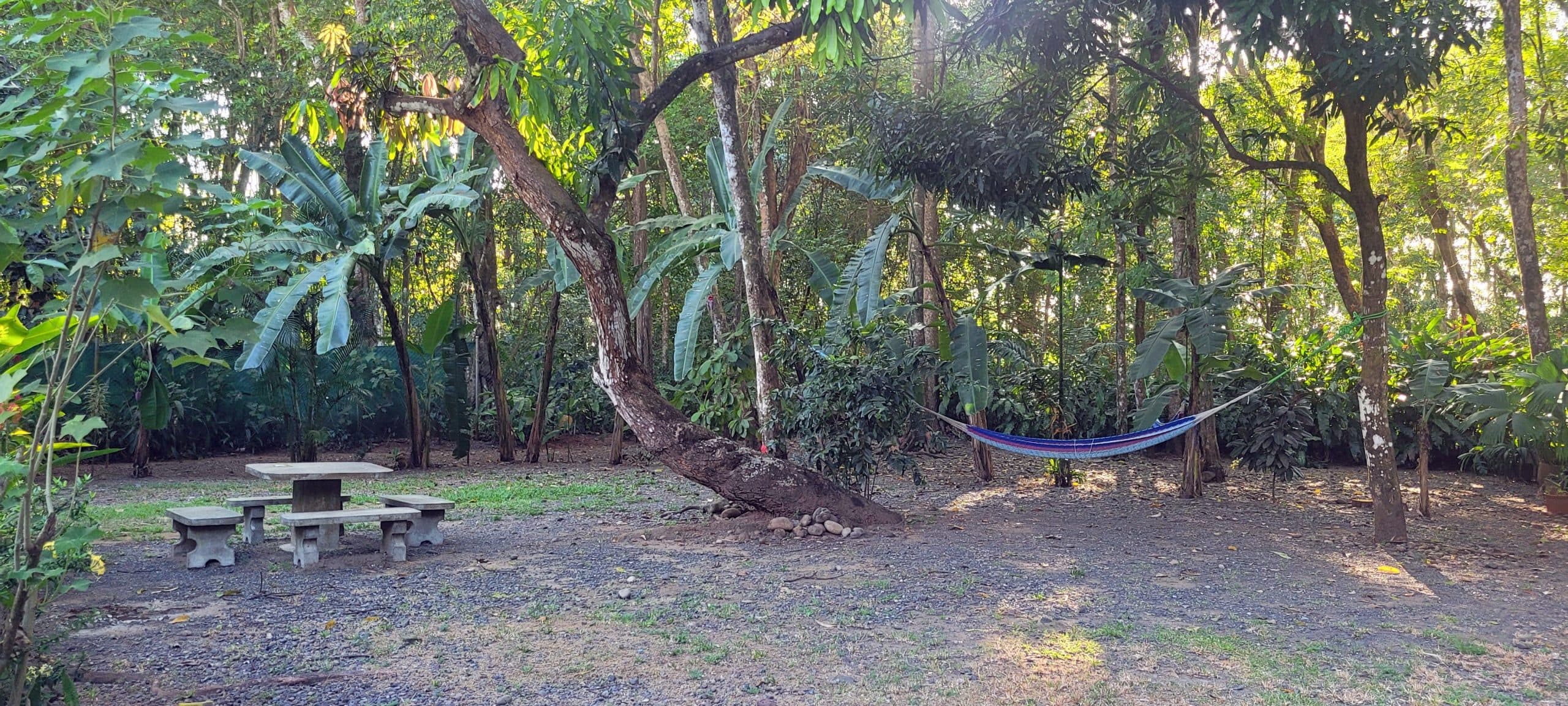 Boutique Eco-hotel  by the beach, photo 13