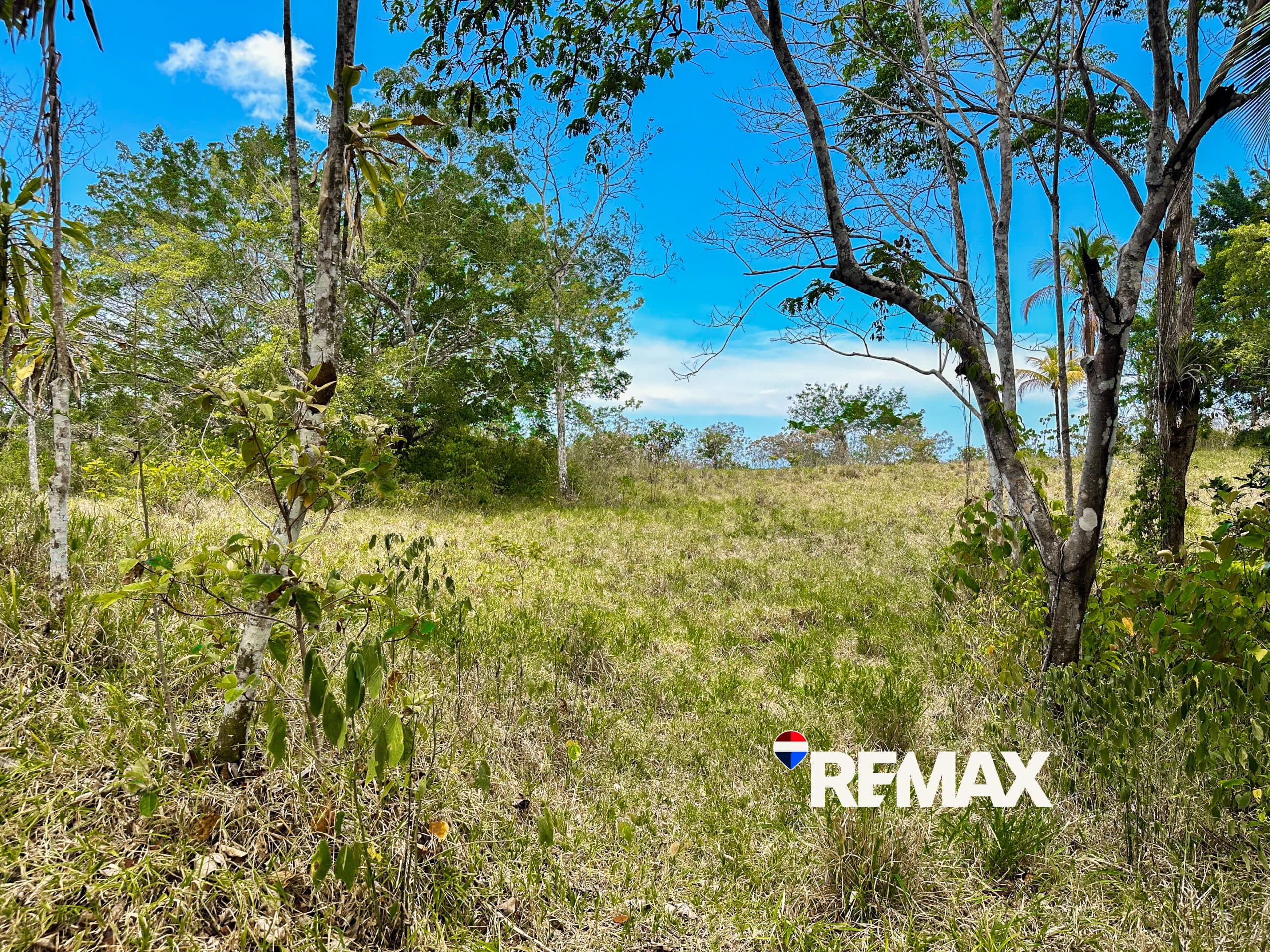 Prime Ocean View Lot | Playa Hermosa, photo 9