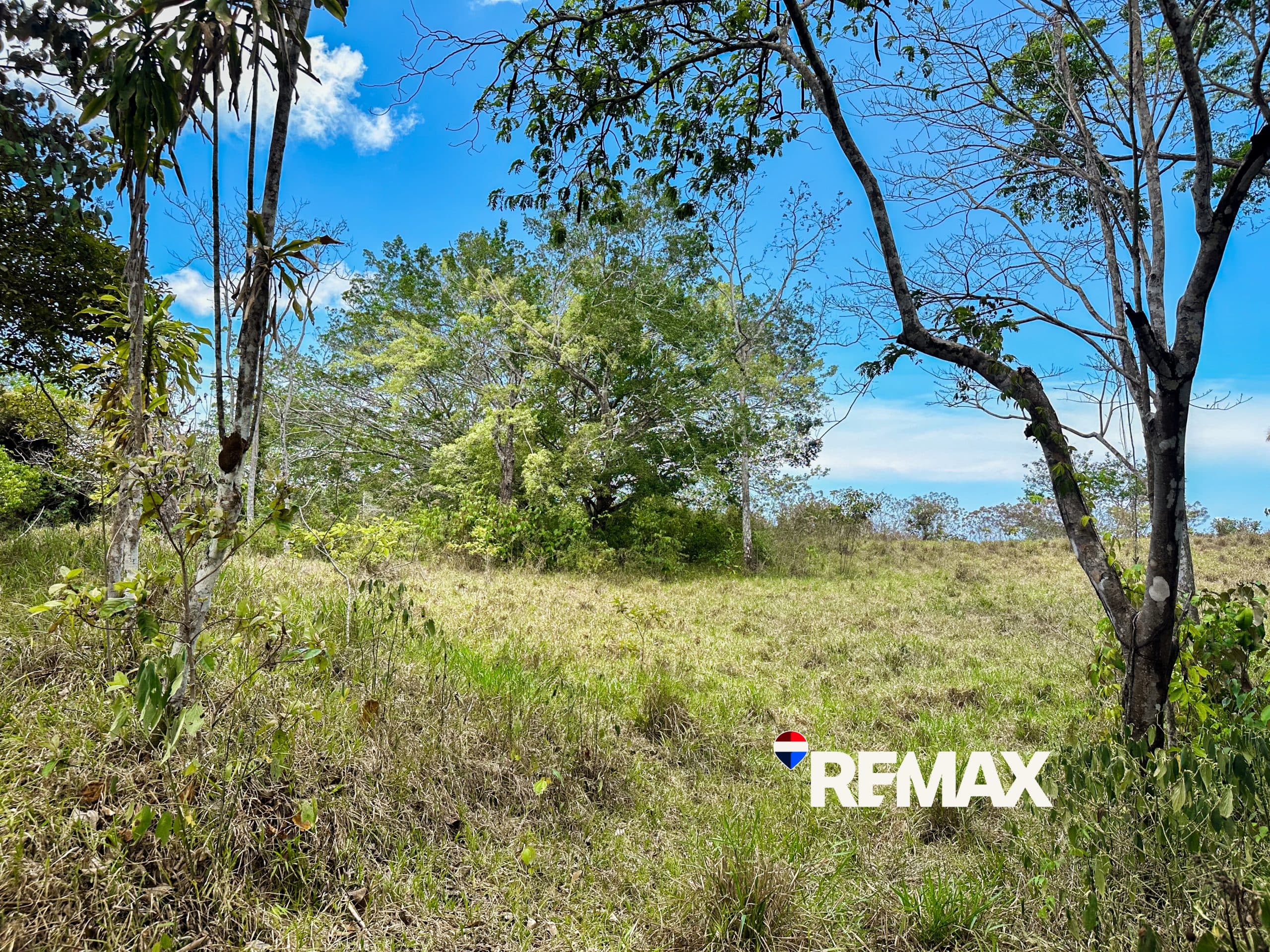 Prime Ocean View Lot | Playa Hermosa, photo 10