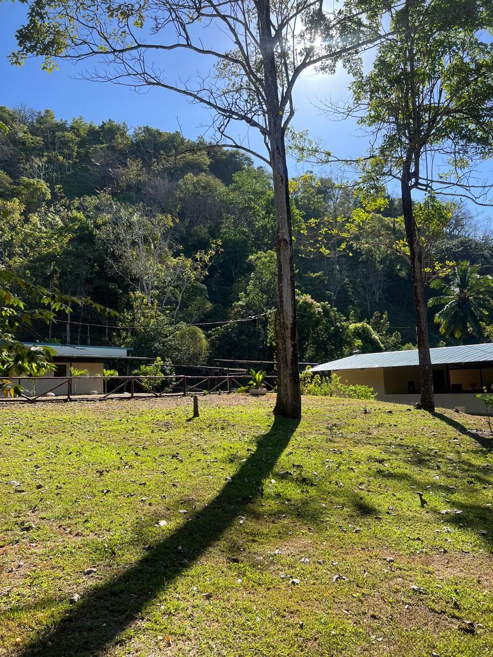 Amazing Riverside Property in Quebrada Amarilla Mataplatano  – 4,711 Square Meters of Land, photo 9