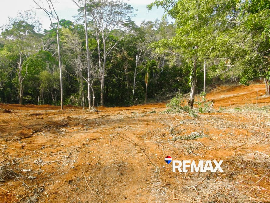 Prime Ocean View Lot | Playa Hermosa, photo 11