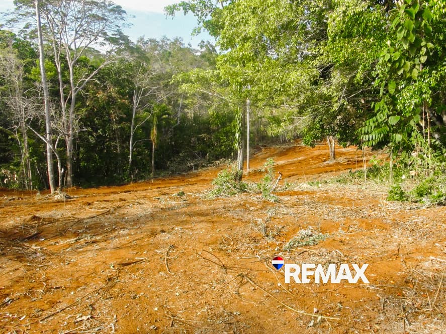 Prime Ocean View Lot | Playa Hermosa, photo 12