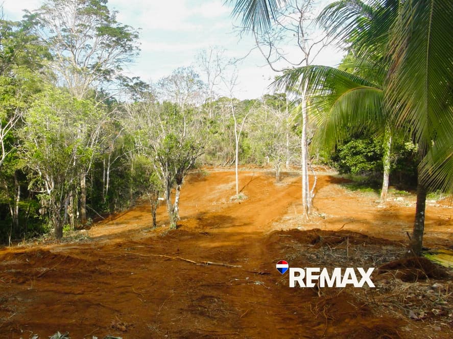 Prime Ocean View Lot | Playa Hermosa, photo 13