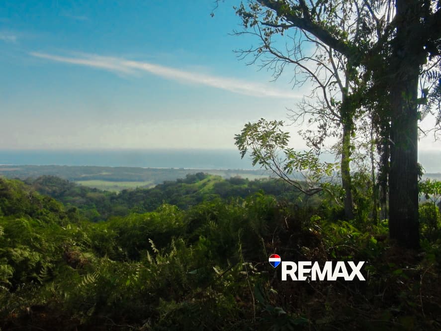 Prime Ocean View Lot | Playa Hermosa, photo 14
